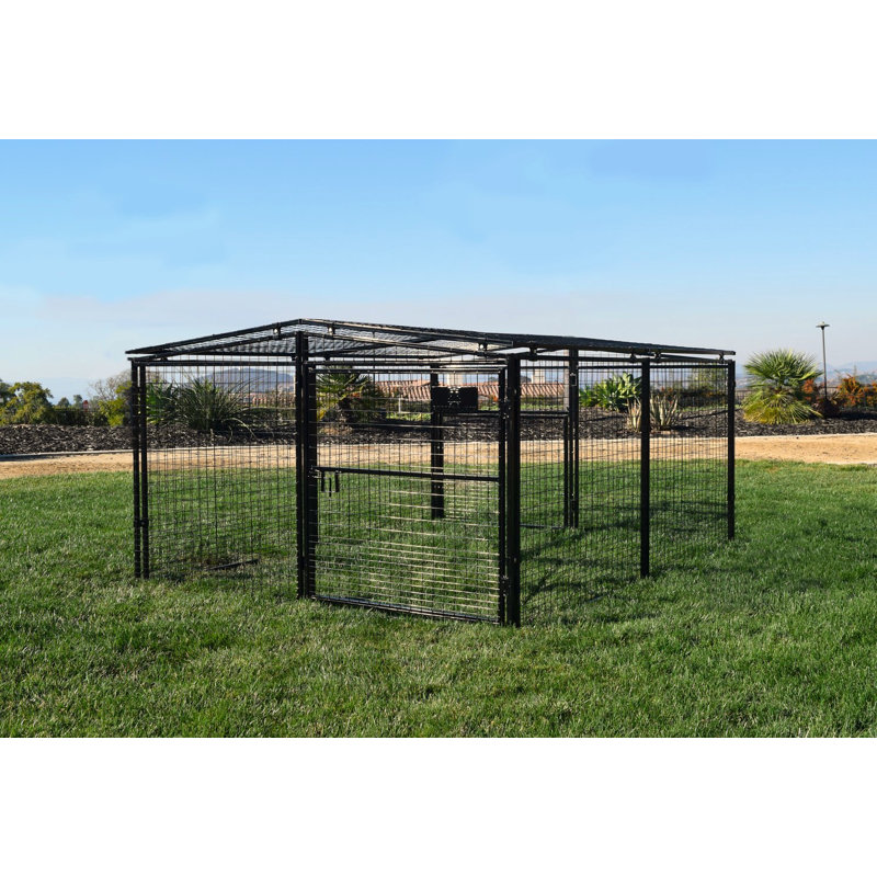 Archie & Oscar™ Francesca Welded Wire Dog Pen/Chicken Coop & Reviews